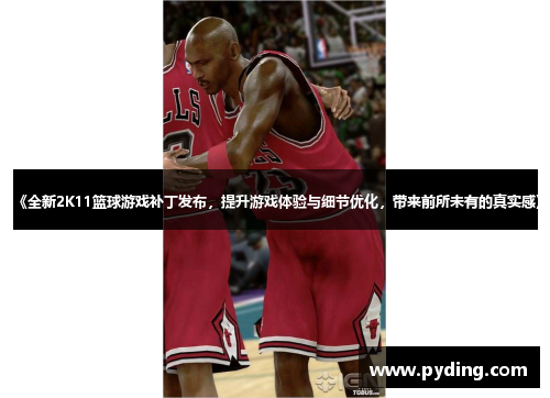 《全新2K11篮球游戏补丁发布，提升游戏体验与细节优化，带来前所未有的真实感》