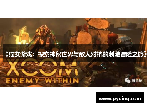 《猫女游戏：探索神秘世界与敌人对抗的刺激冒险之旅》